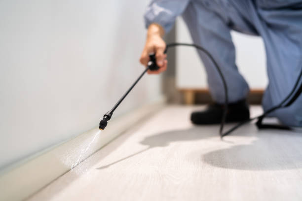 Licensed Pest Control service in Ellenton, FL - Show Me Pest Control